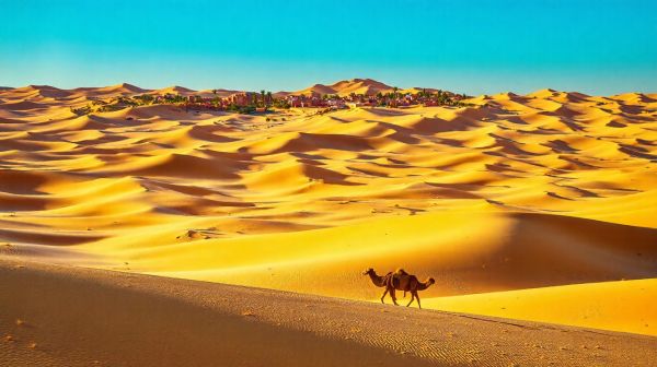 Top 10 lieux à visiter au Maroc pour des vacances inoubliables
